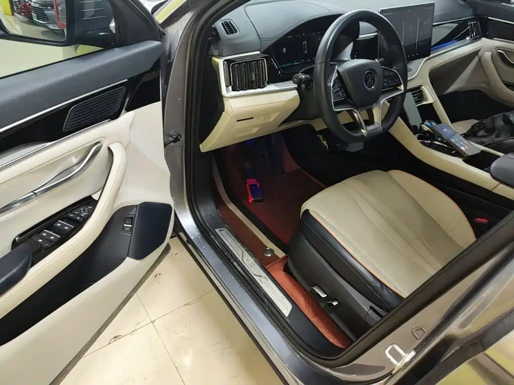 BYD PLUS New Energy — миниатюра 16