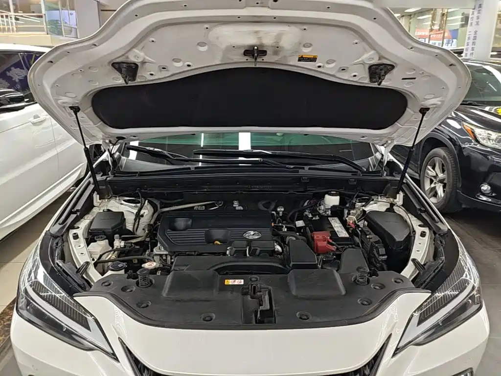 Lexus NX — миниатюра 20