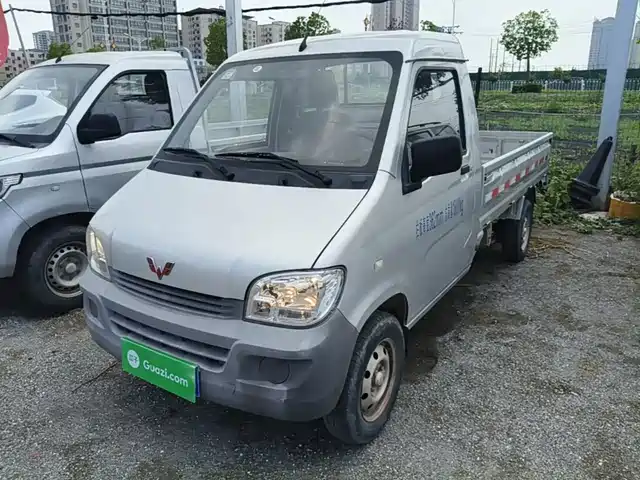 2020 Wuling Motors Sunshine