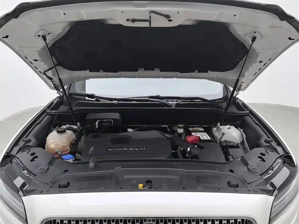 LINCOLN NAVIGATOR (IMPORT)