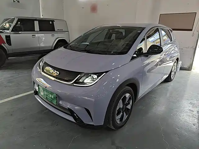 2024 BYD Dolphin