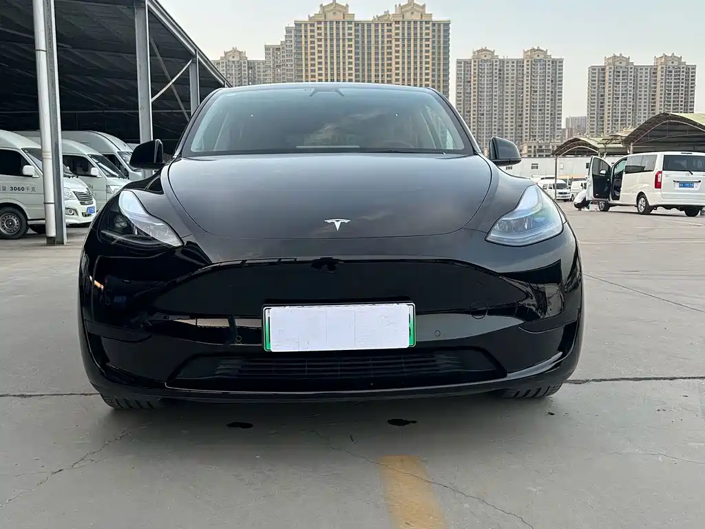 Tesla Model Y — миниатюра 2