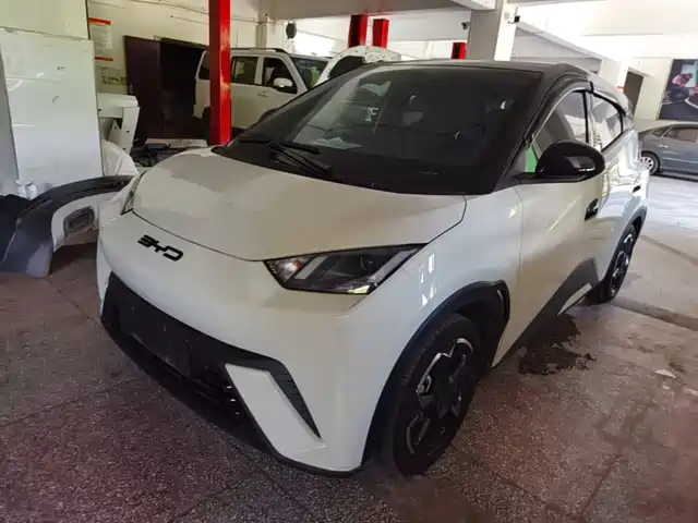2024 BYD Seagull