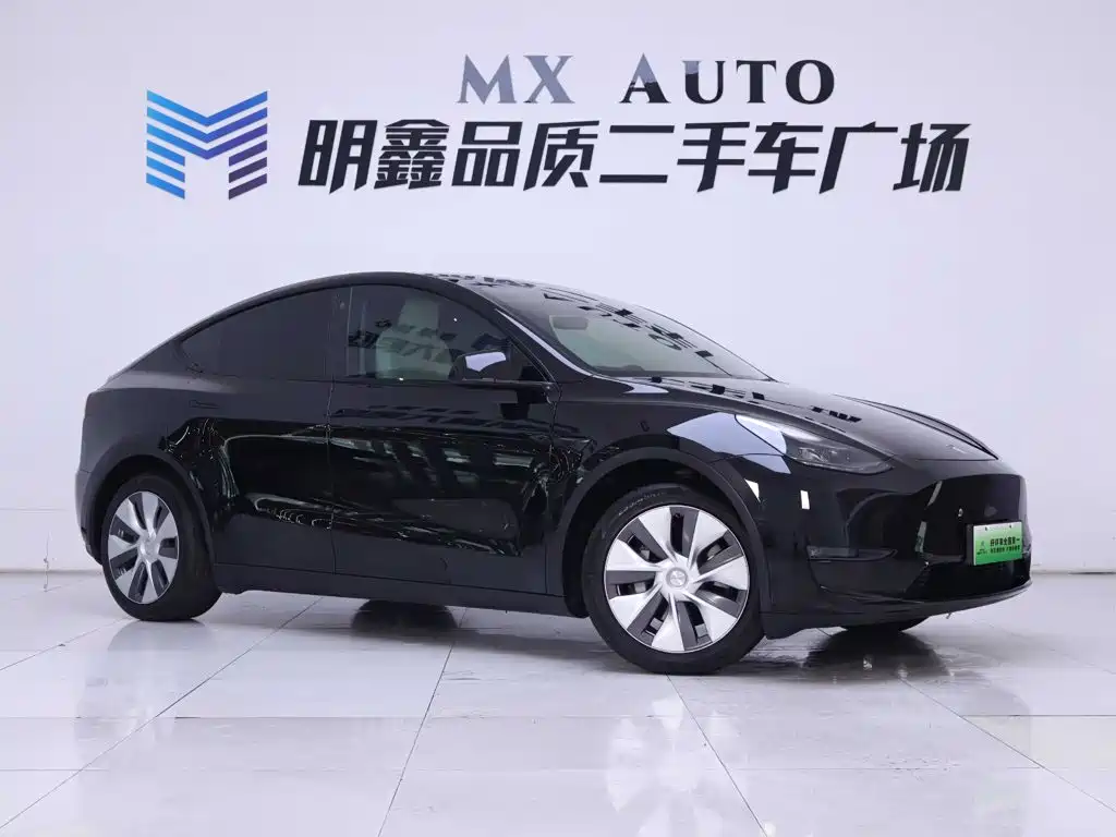 Tesla Model Y — миниатюра 5