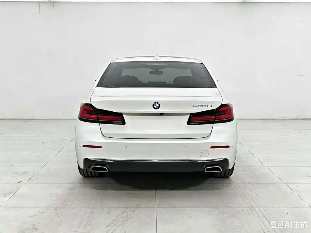 BMW 5 Series — миниатюра 5