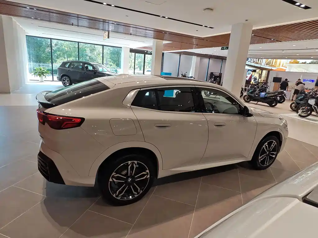 BMW X2 (Import) — миниатюра 8
