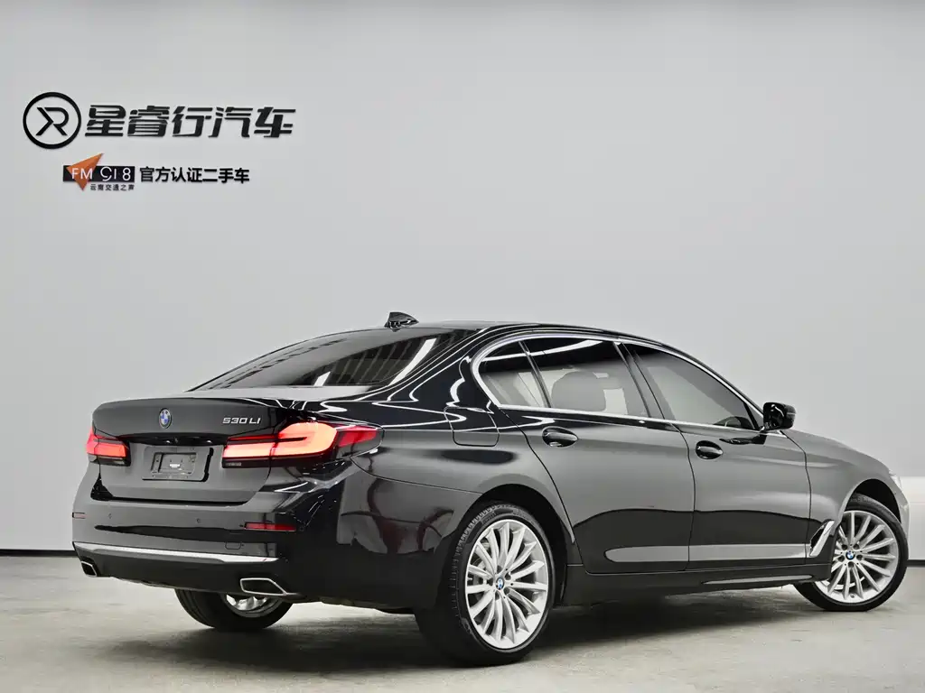 BMW 5 Series — миниатюра 3