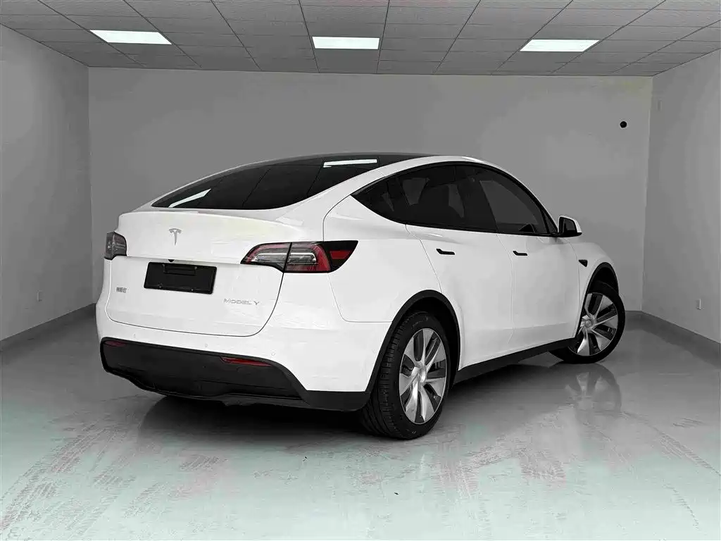 Tesla Model Y — миниатюра 18