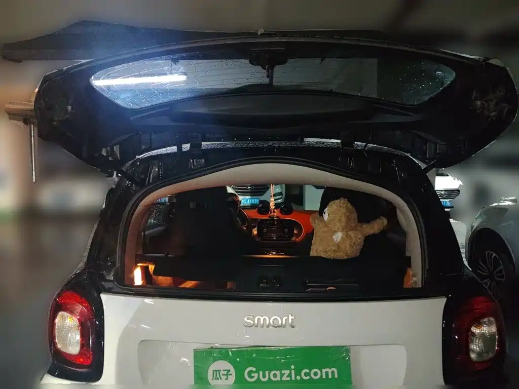 smart Smart Fortwo — миниатюра 10