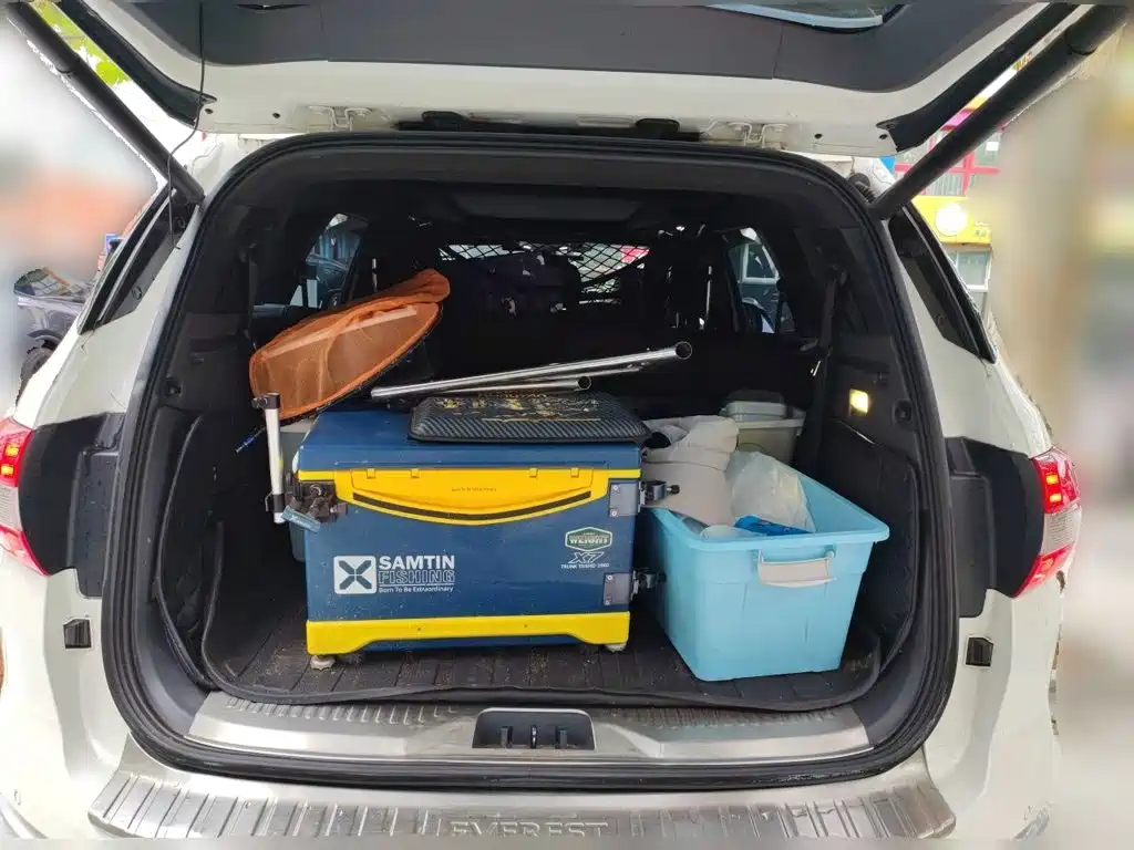 Ford Everest — миниатюра 20