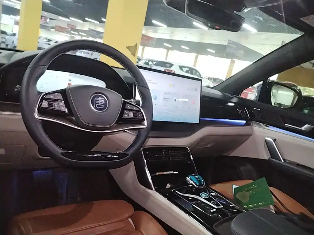 BYD Tang New Energy — миниатюра 10