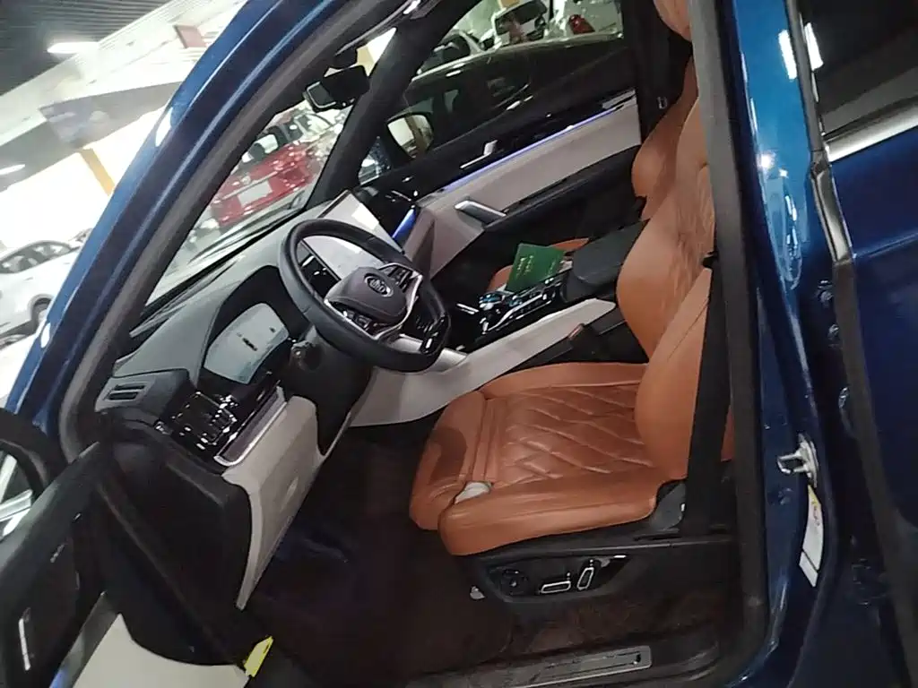 BYD Tang New Energy — миниатюра 15