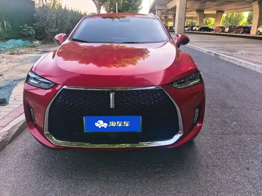 Wey Wey P8 — миниатюра 2