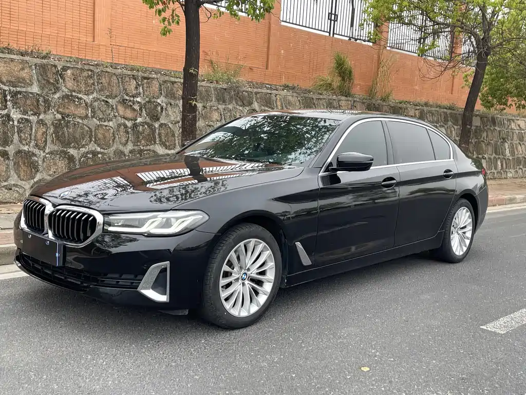 BMW 5 Series 2020