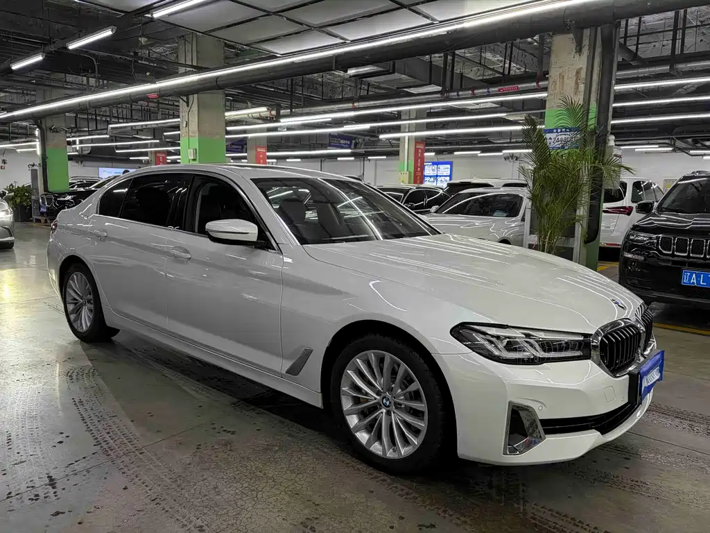 BMW 5 Series New Energy — миниатюра 2