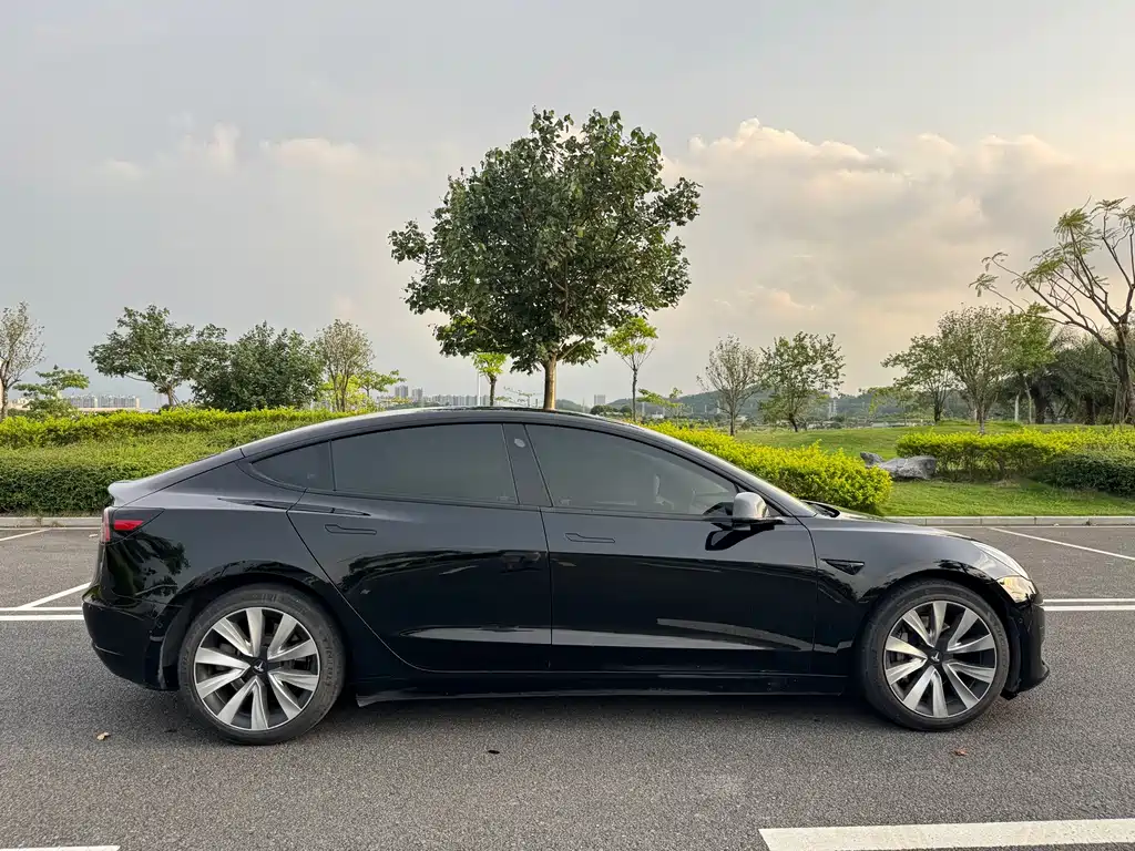 Tesla Model 3 — миниатюра 4