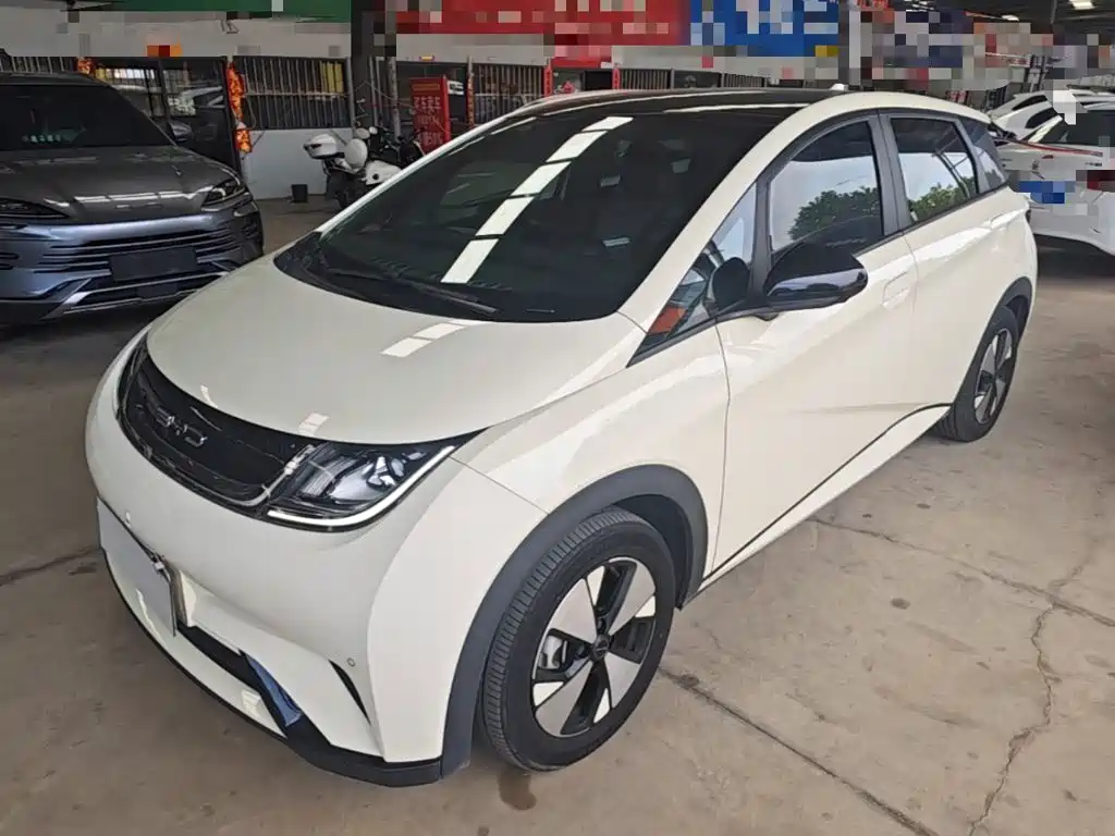 BYD Dolphin — миниатюра 2