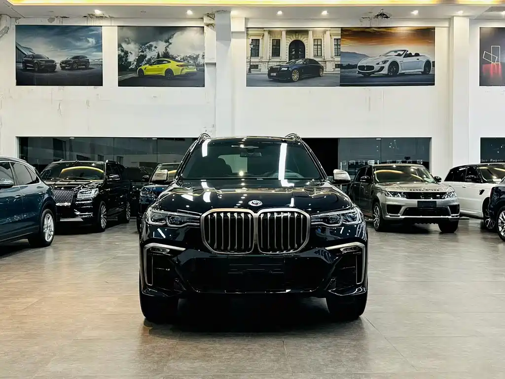 BMW X7 — миниатюра 2