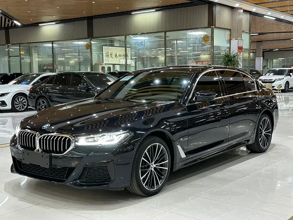 BMW 5 SERIES