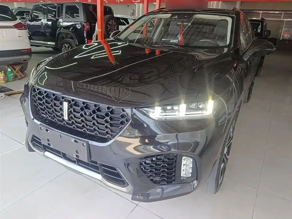 Купить Wey Wey VV7