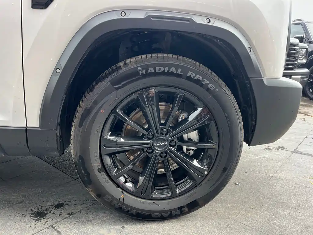 HAVAL RAPTORS