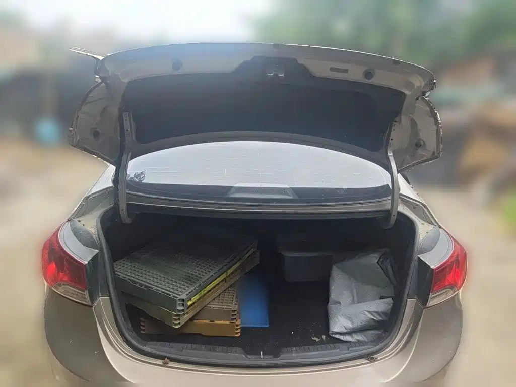 Hyundai Elantra Langdong — миниатюра 10