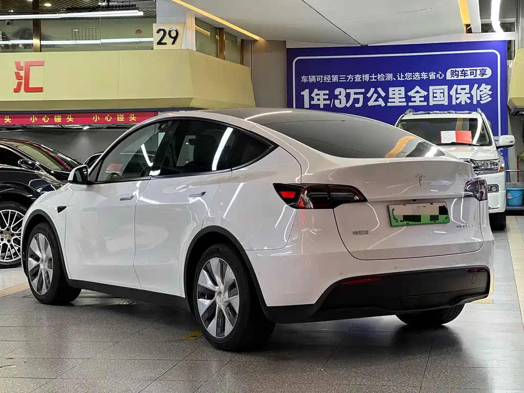 Tesla Model Y — миниатюра 6