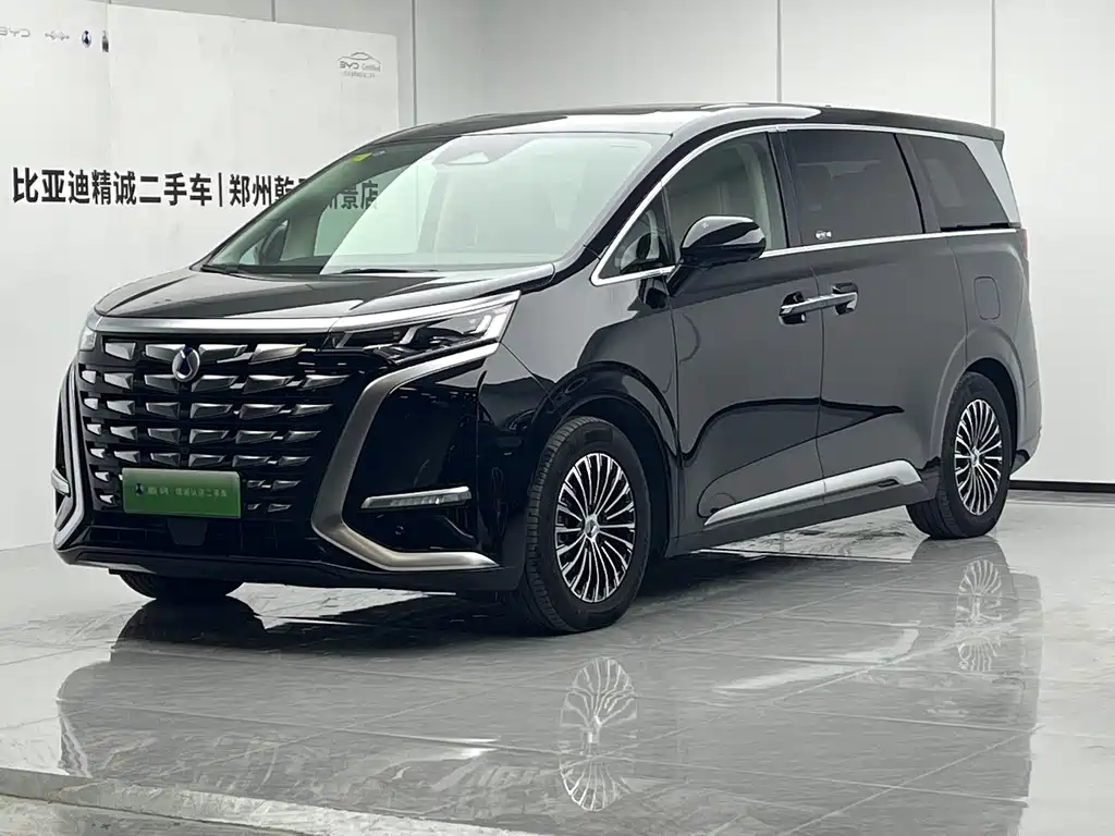 2025 Denza D9 - zdjęcie 1 z 9