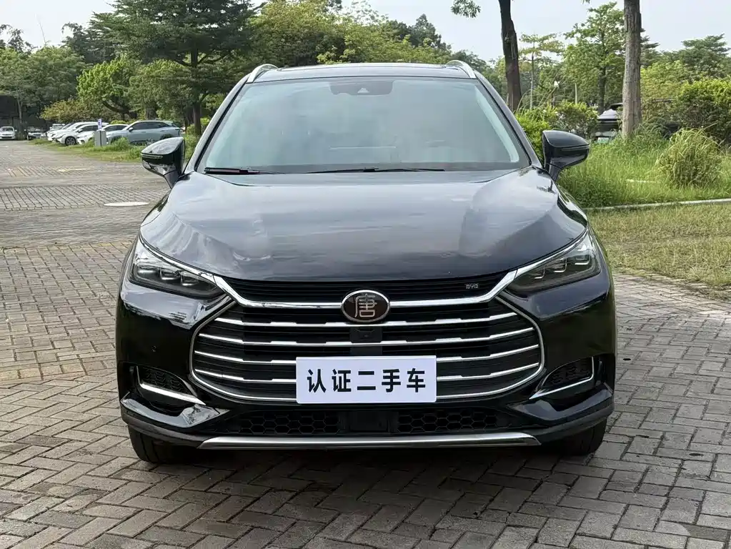 BYD Tang — миниатюра 2