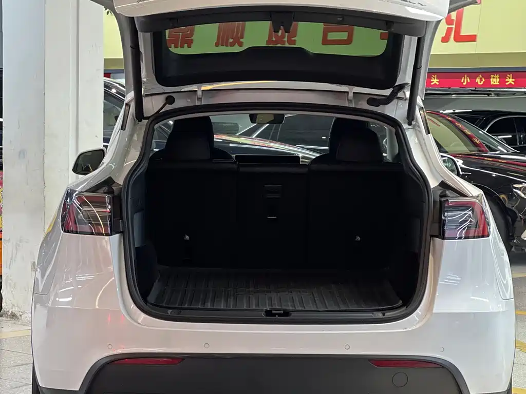 Tesla Model Y — миниатюра 7