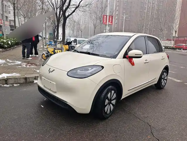 WULING WULING BINGGUO 2025