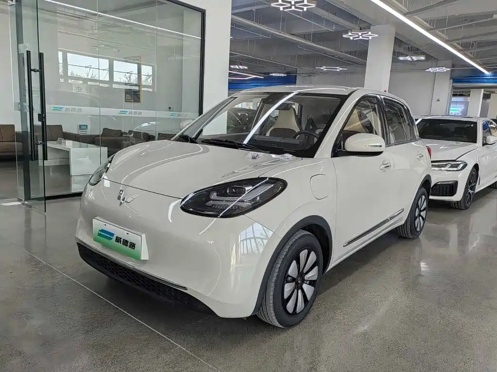 Wuling Binguo