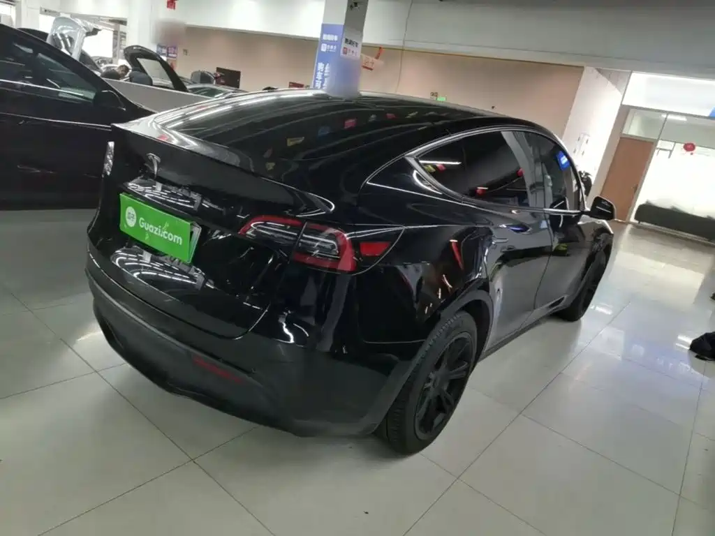 Tesla Model Y — миниатюра 7