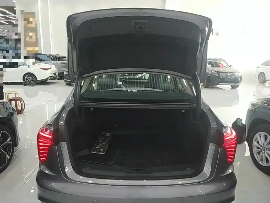 Hongqi Hongqi H5 PHEV — миниатюра 19