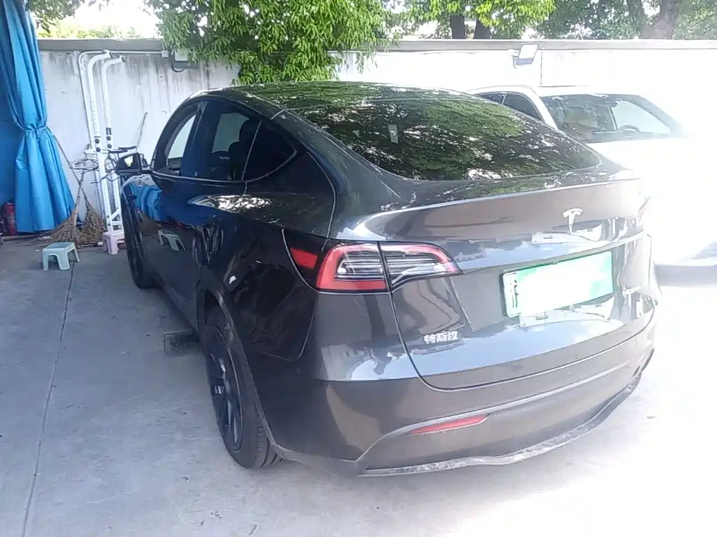 Tesla Model Y — миниатюра 5