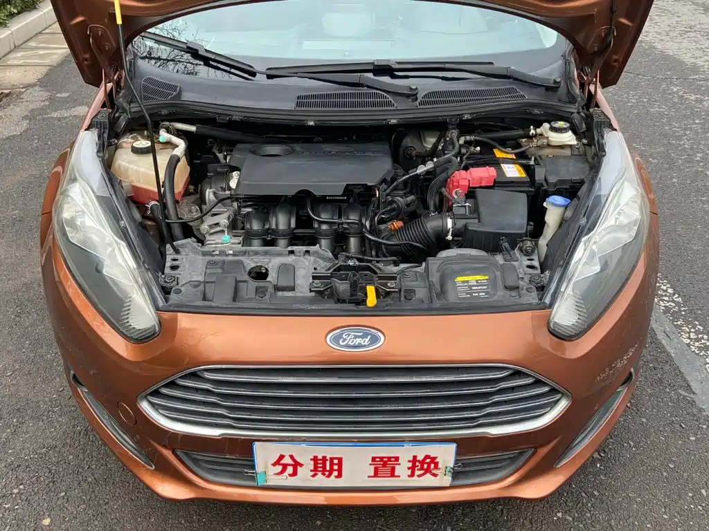 Ford Fiesta — миниатюра 20