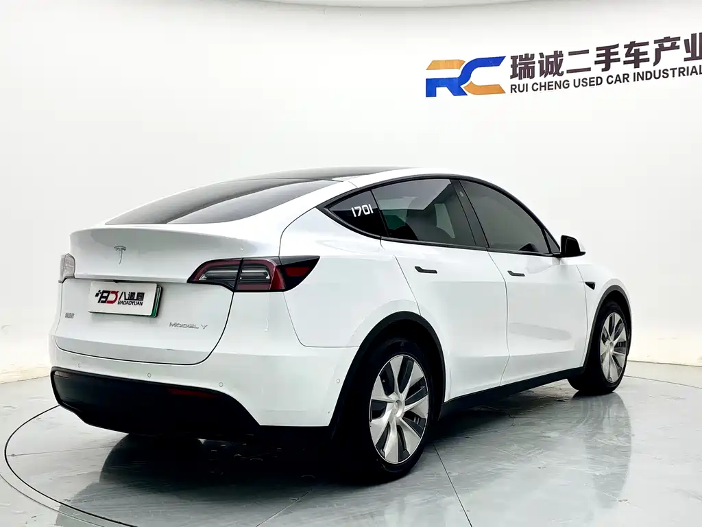 Tesla Model Y — миниатюра 5