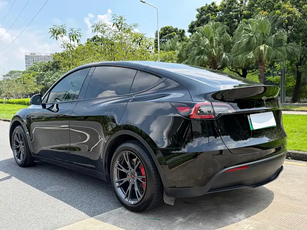 Tesla Model Y — миниатюра 6