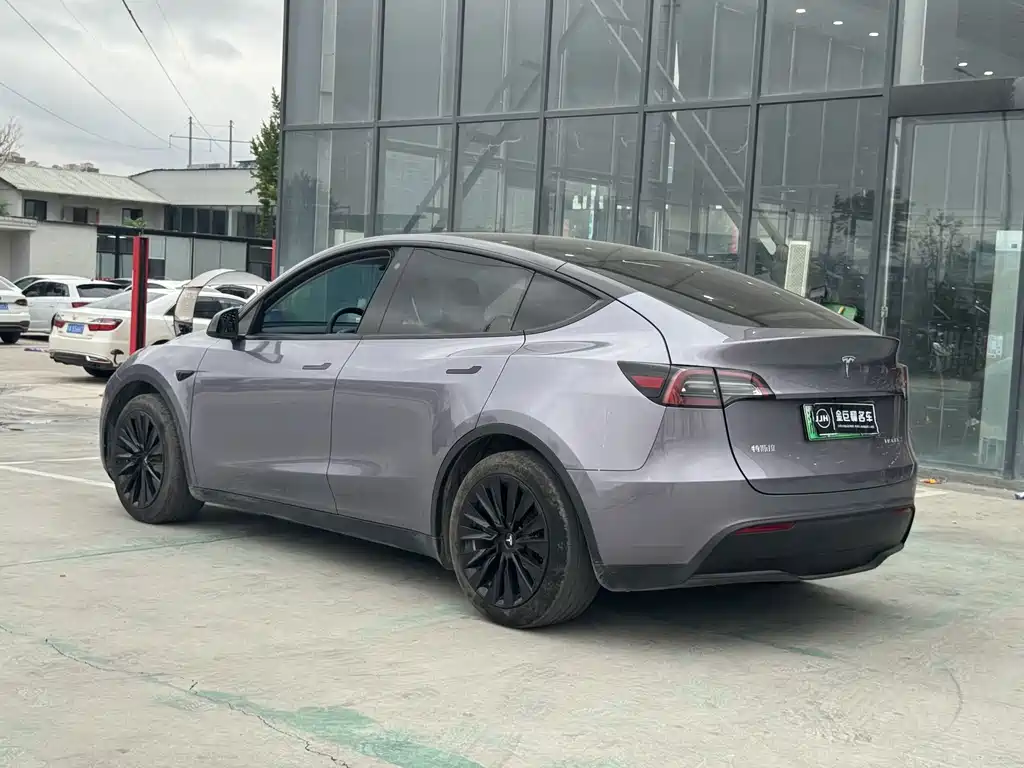 Tesla Model Y — миниатюра 8