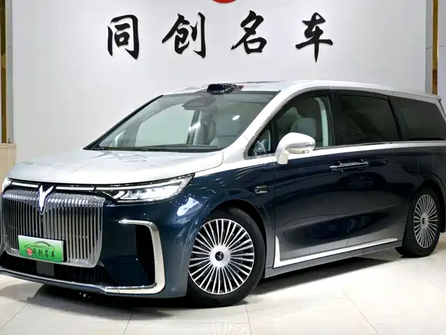 2024 Voyah Dream