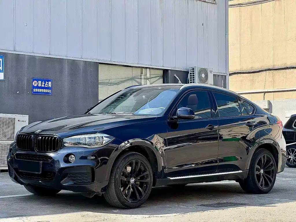 BMW X6