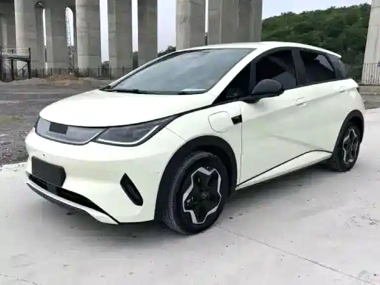BYD Dolphin 2025 Smart Drive 420km Freedom