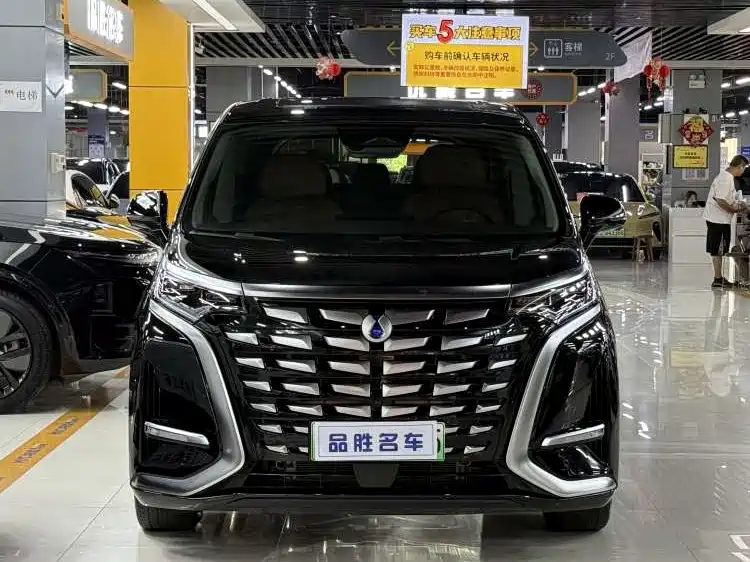 Denza D9 2024 DM-i 980 Luxury