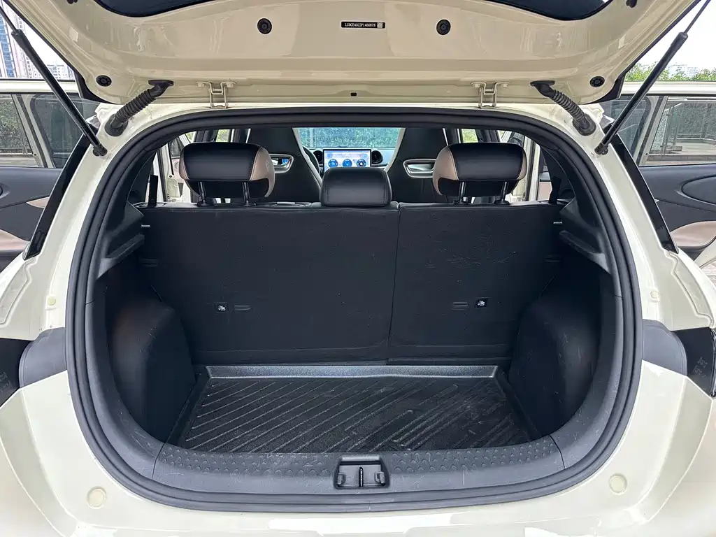 BYD Dolphin — миниатюра 11