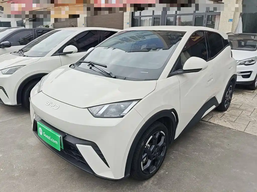 BYD Seagull