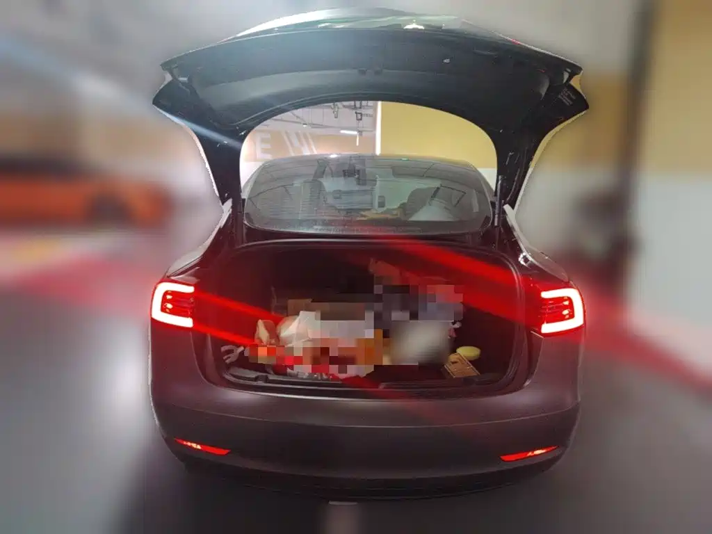 Tesla Model 3 — миниатюра 10
