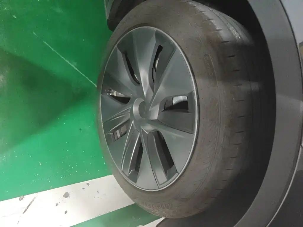 Tesla Model Y — миниатюра 24