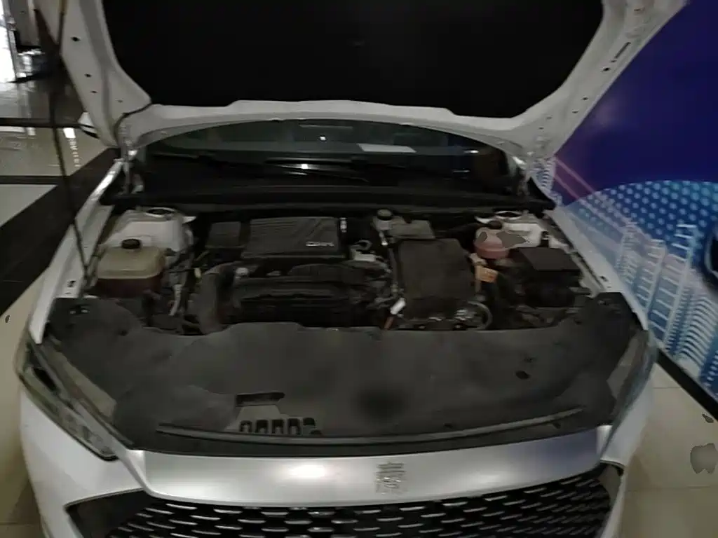 BYD Qin PLUS — миниатюра 20
