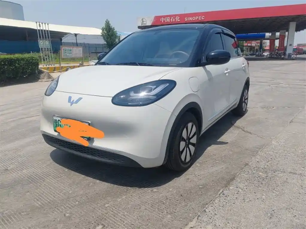 Wuling Binguo
