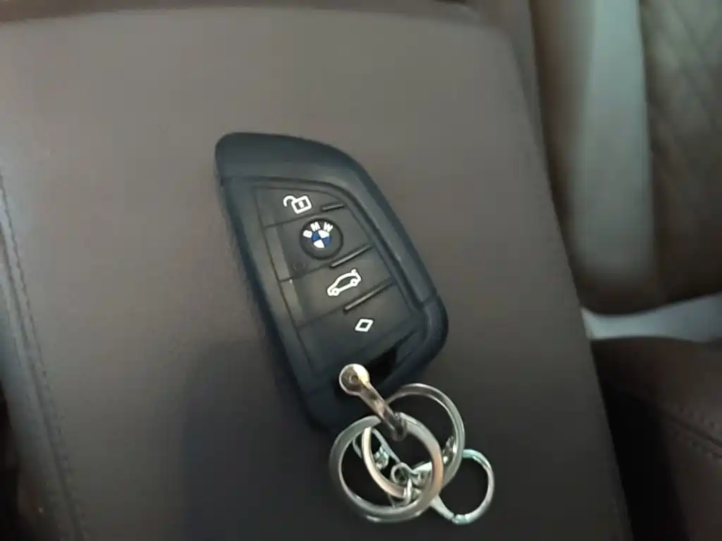 BMW 3 Series 3 2022 325Li M Sport